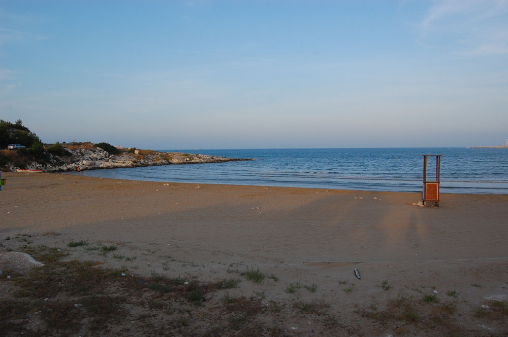 gargano0802