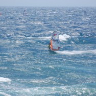 Slalom Action