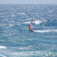 Slalom Action