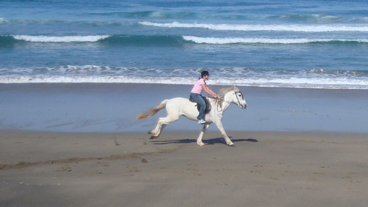 Reiten in Lapared
